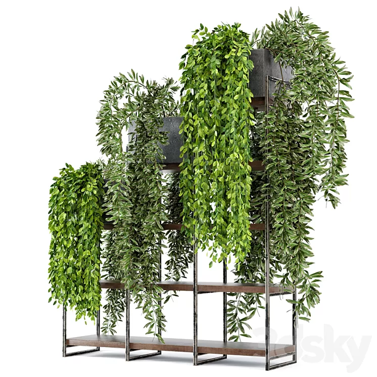 Indoor Plants in rusty Concrete Pot on Metal Shelf - Set 53 3D Model
