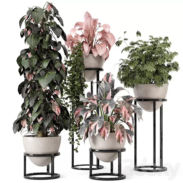 Indoor Plants in rusty Concrete Pot on Metal Shelf - Set 964 3D Model Free