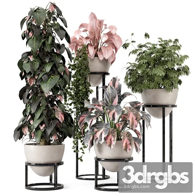 Indoor plants in rusty concrete pot on metal shelf - set 964