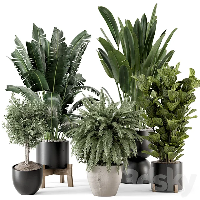 Indoor Plants in rusty Concrete Pot on Wooden Base - Set 1203 3D Model