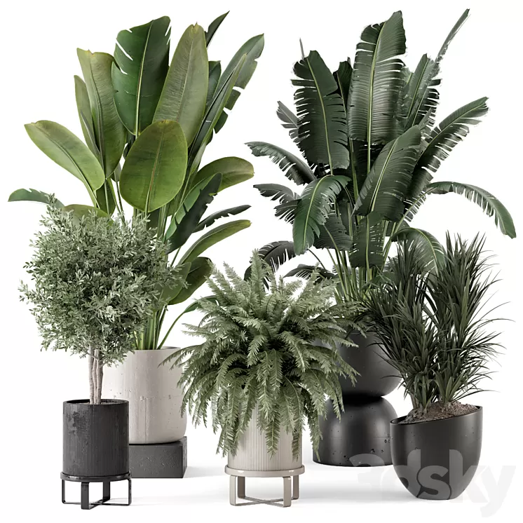 Indoor Plants in rusty Concrete Pot – Set 1167 3D Model