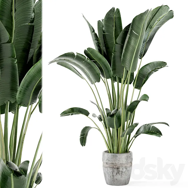 Indoor Plants in rusty Concrete Pot - Set 124 3D Model