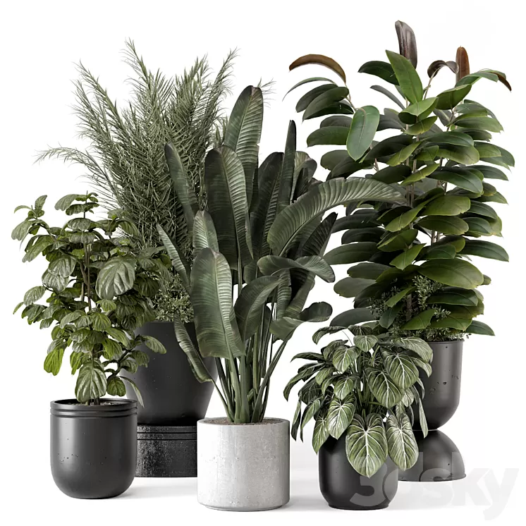 Indoor Plants in rusty Concrete Pot - Set 1265 3D Model Free