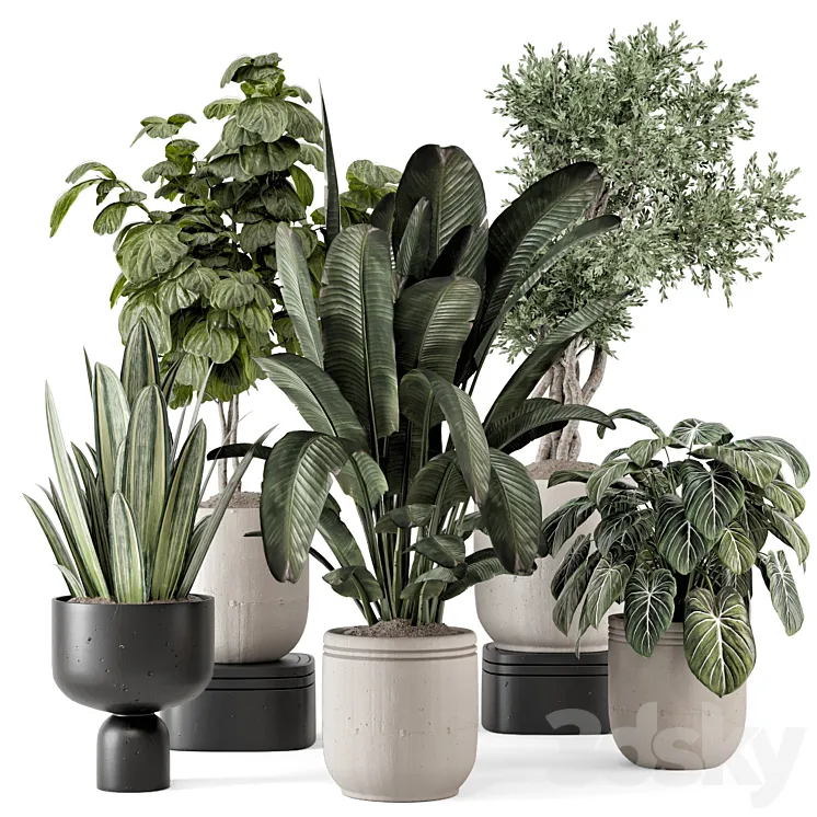 Indoor Plants in rusty Concrete Pot - Set 1286 3D Model Free