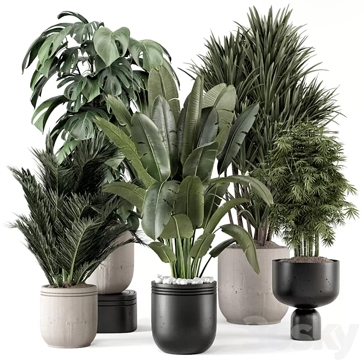 Indoor Plants in rusty Concrete Pot – Set 1331 3D Model Free Download