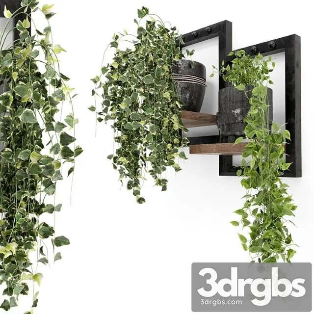 Indoor plants in rusty concrete pot - set 150