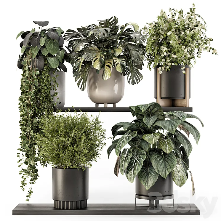 Indoor Plants in rusty Concrete Pot - Set 1512 Free Download