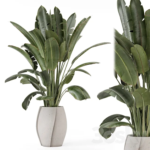 Indoor Plants in rusty Concrete Pot - Set 1612 3D Model