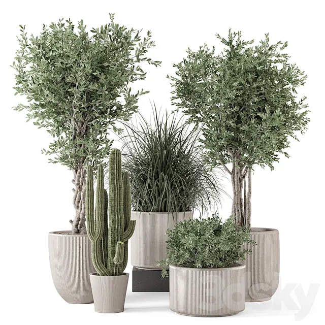Indoor Plants in rusty Concrete Pot - Set 1911 3D Model