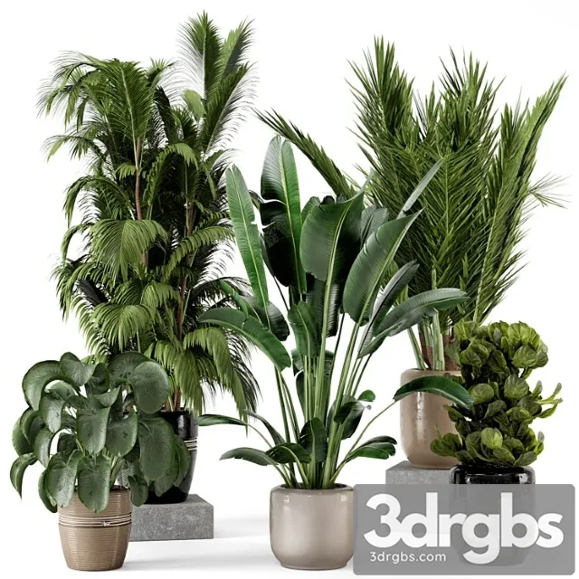 Indoor plants in rusty concrete pot - set 217