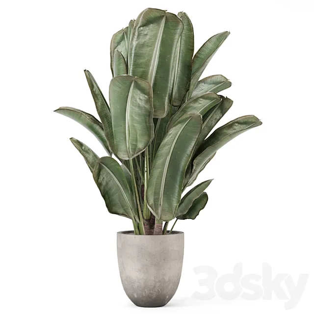 Indoor Plants In Rusty Concrete Pot – Set 2239 3D Model