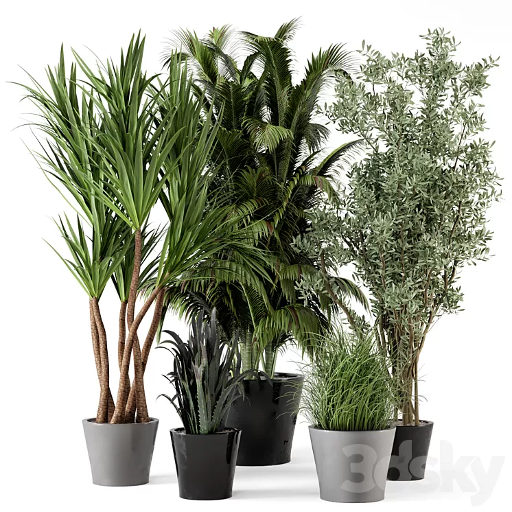 Indoor Plants in rusty Concrete Pot - Set 225 3D Model