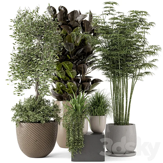 Indoor Plants in rusty Concrete Pot - Set 229 3DModel