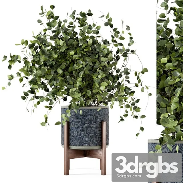 Indoor plants in rusty concrete pot - set 244