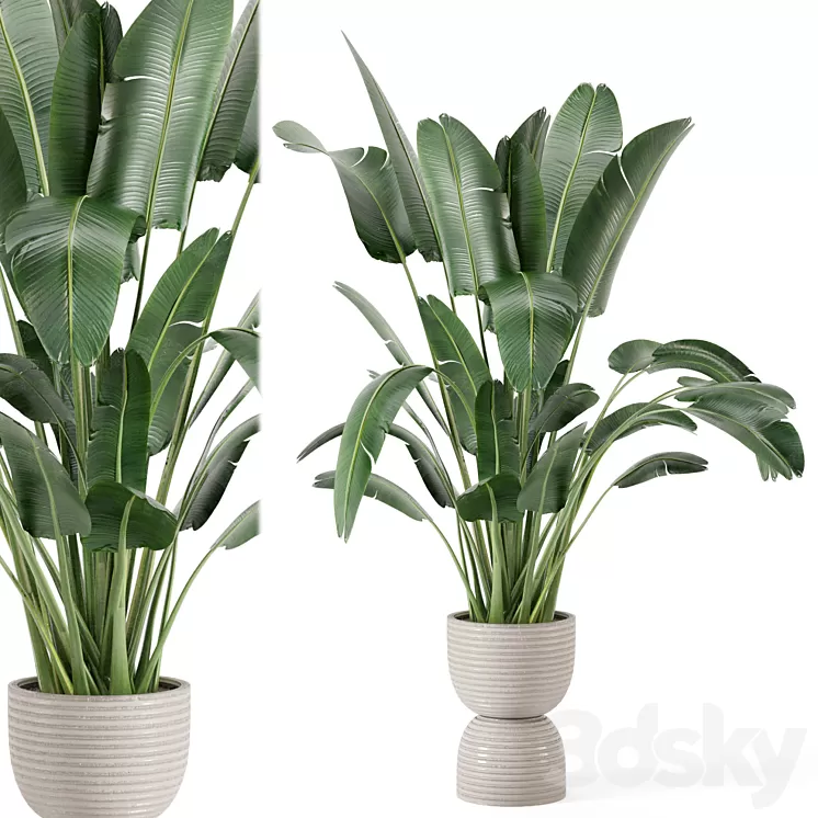 Indoor Plants in rusty Concrete Pot - Set 298 3D Model