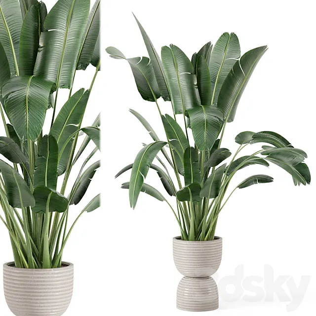 Indoor Plants in rusty Concrete Pot - Set 298 3DModel