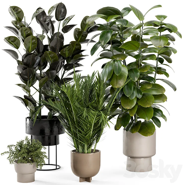 Indoor Plants in rusty Concrete Pot - Set 307 3D Model Free