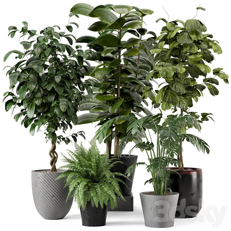 Indoor Plants in rusty Concrete Pot - Set 324 3D Model Free