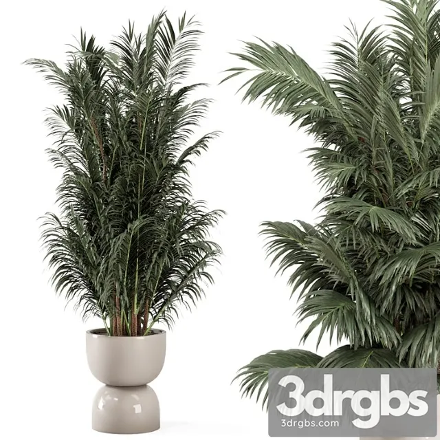 Indoor plants in rusty concrete pot - set 352