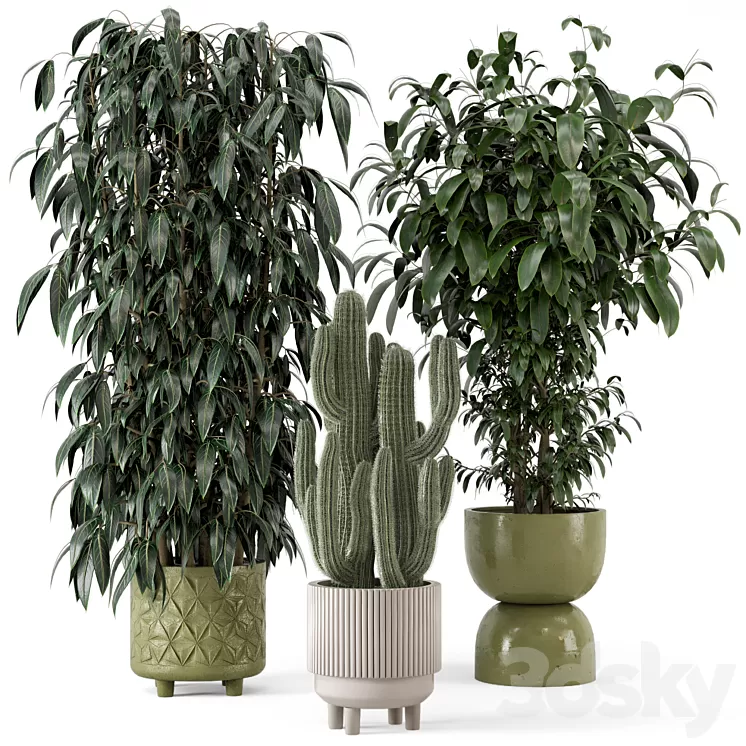 Indoor Plants in rusty Concrete Pot - Set 512 3D Model Free
