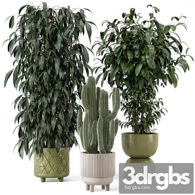 Indoor plants in rusty concrete pot - set 512