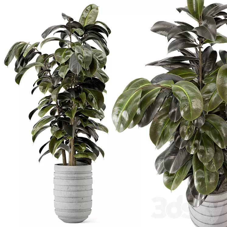 Indoor Plants in rusty Concrete Pot - Set 549 3D Model Free