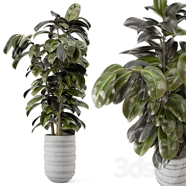 Indoor Plants in rusty Concrete Pot - Set 549 3DModel