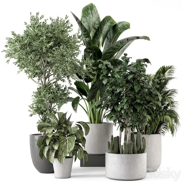 Indoor Plants in rusty Concrete Pot - Set 584 3D Model