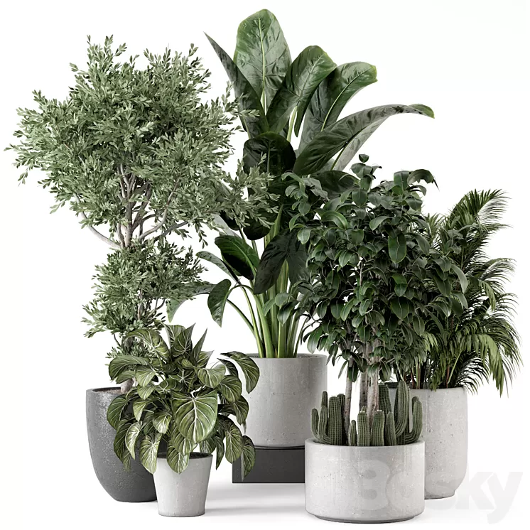 Indoor Plants in rusty Concrete Pot - Set 584 3D Model Free