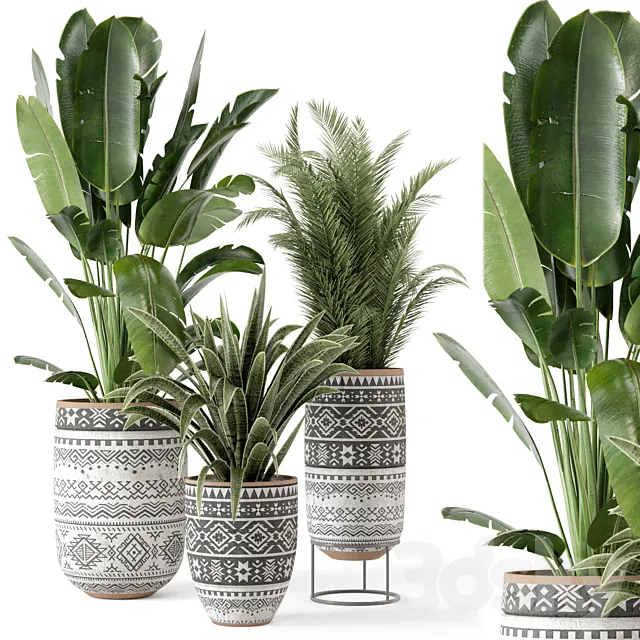 Indoor Plants in rusty Concrete Pot - Set 628 3DModel
