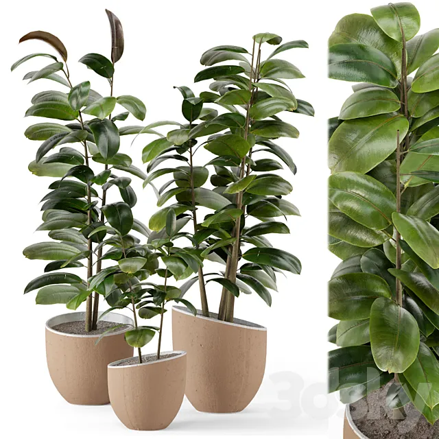 Indoor Plants in rusty Concrete Pot - Set 692 3DModel