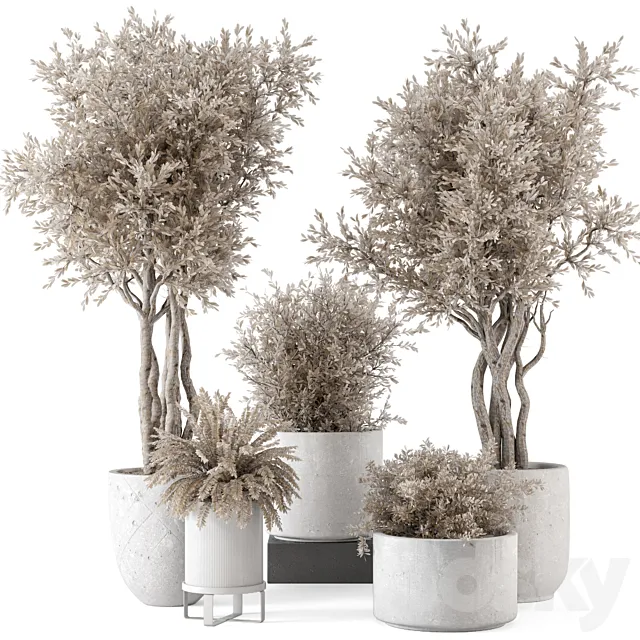 Indoor Plants in rusty Concrete Pot - Set 809 3D Model
