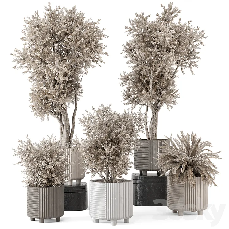 Indoor Plants in rusty Concrete Pot - Set 905 3D Model Free