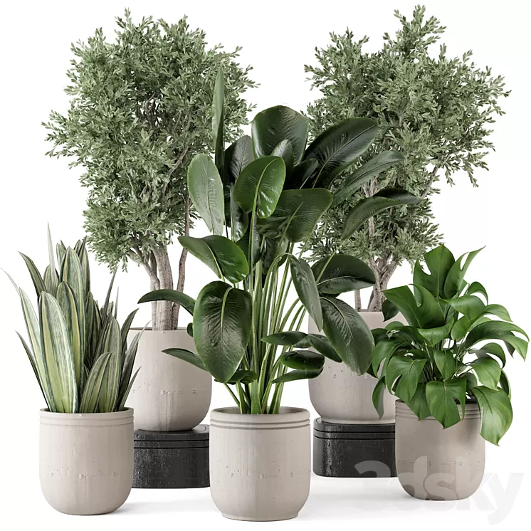 Indoor Plants in rusty Concrete Pot – Set 921 3D Model