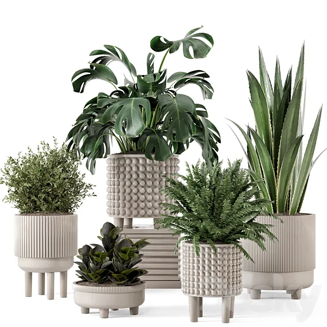 Indoor Plants in Standing Legs Small Bowl Concrete Pot - Set 1041 3D Model