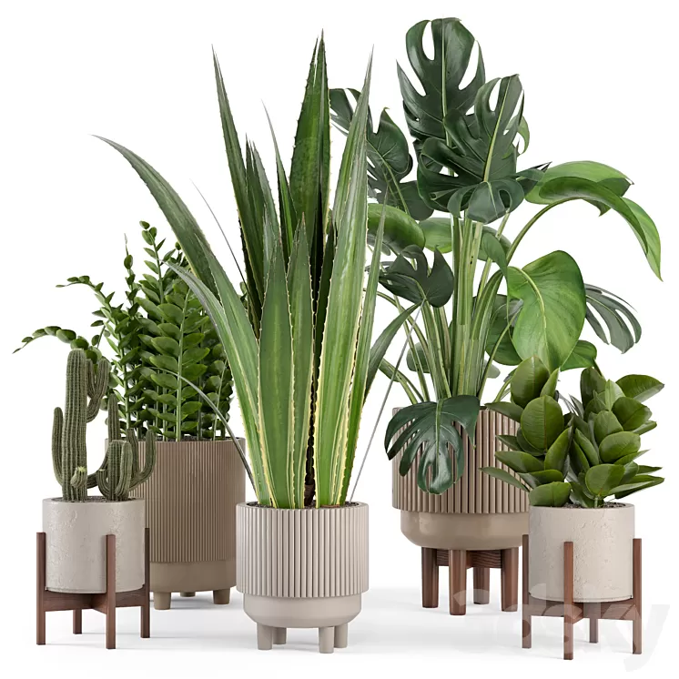 Indoor Plants in Standing Legs Small Bowl Concrete Pot - Set 245 3D Model Free