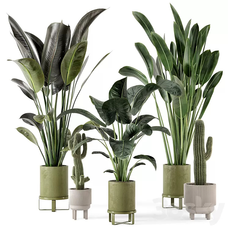 Indoor Plants in Standing Legs Small Bowl Concrete Pot - Set 325 3D Model