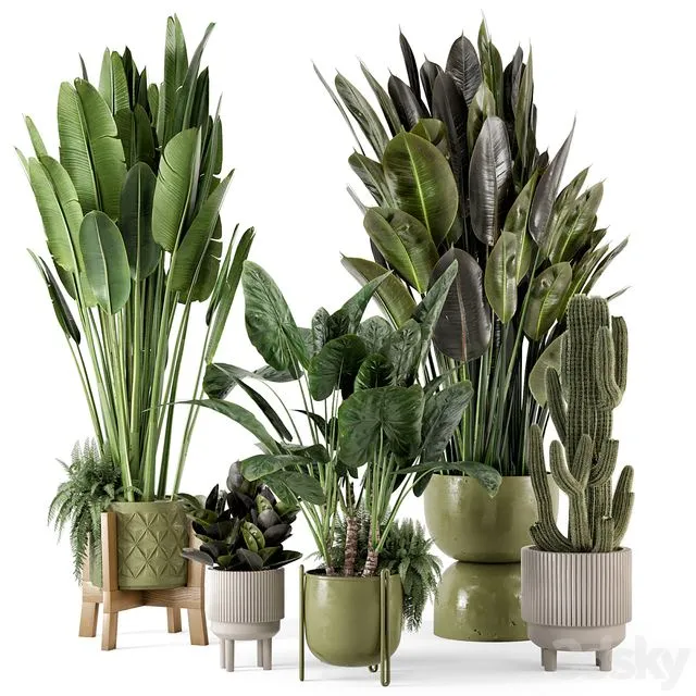 Indoor Plants in Standing Legs Small Bowl Concrete Pot Set 563 3D Model