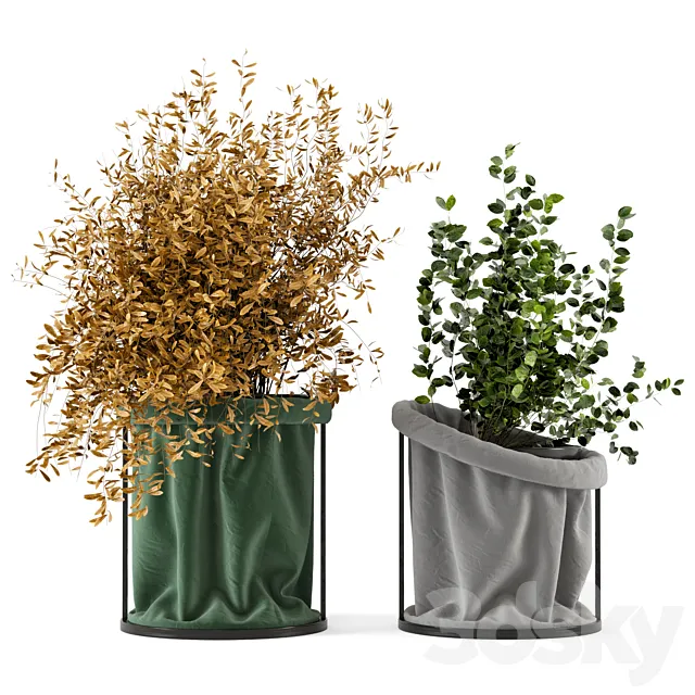 Indoor Plants In Vase with fabric cover - Set 102 3DModel