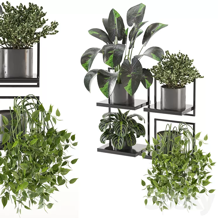 indoor plants on metal frame - Set 287 3D Model Free