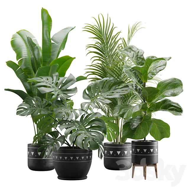 Indoor Plants Pack 17 3DModel