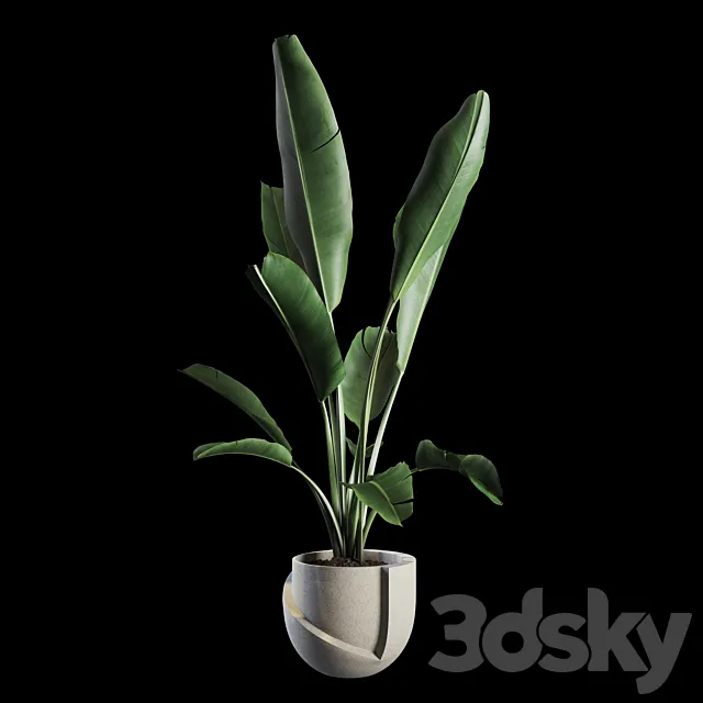 Indoor Plants Set 02 3DModel