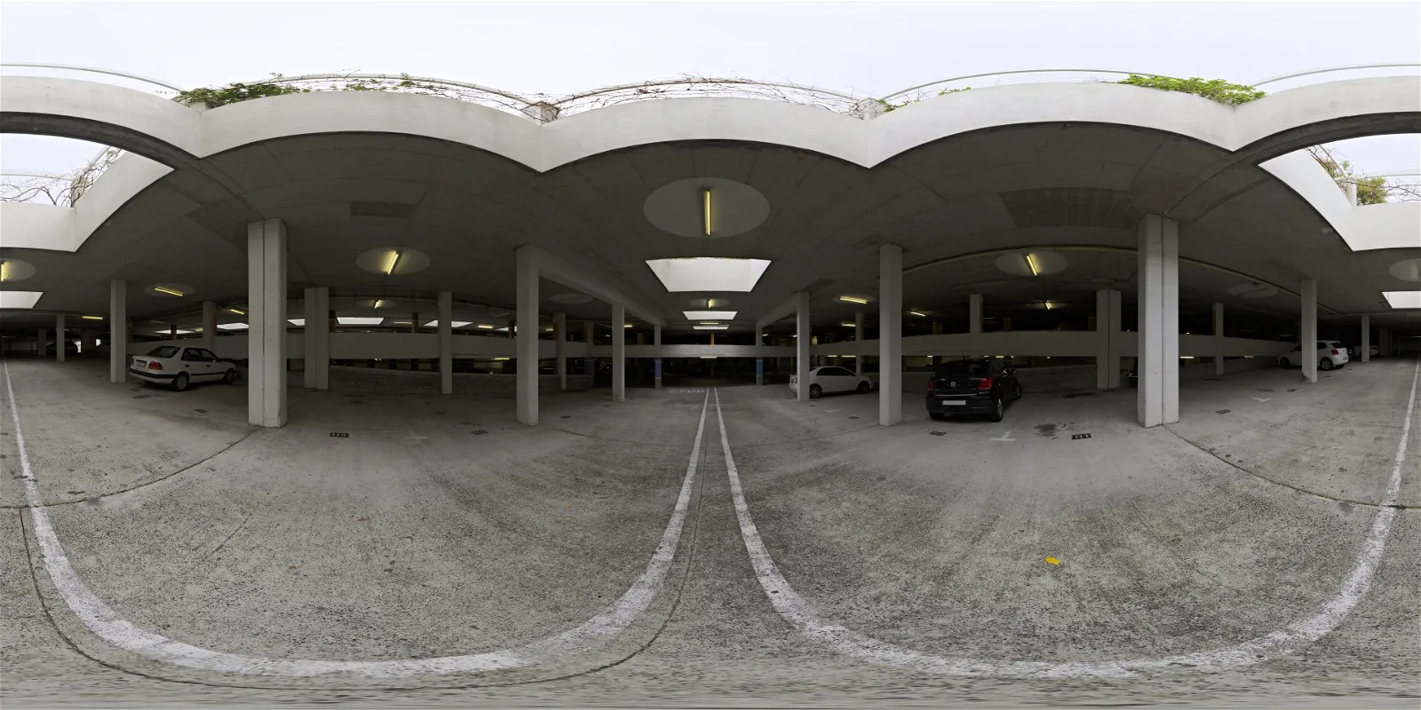 Skylit Garage
