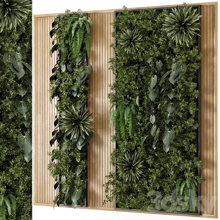 Indoor Wall Vertical Garden in Wooden Base - Set 536 3D Model Free