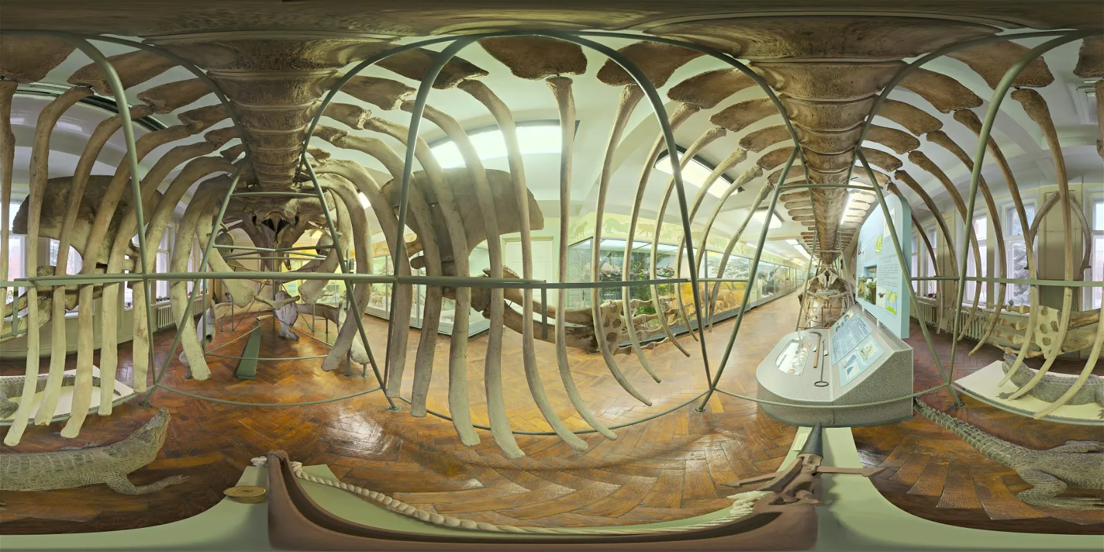 HDRI urban FREE DOWNLOAD 