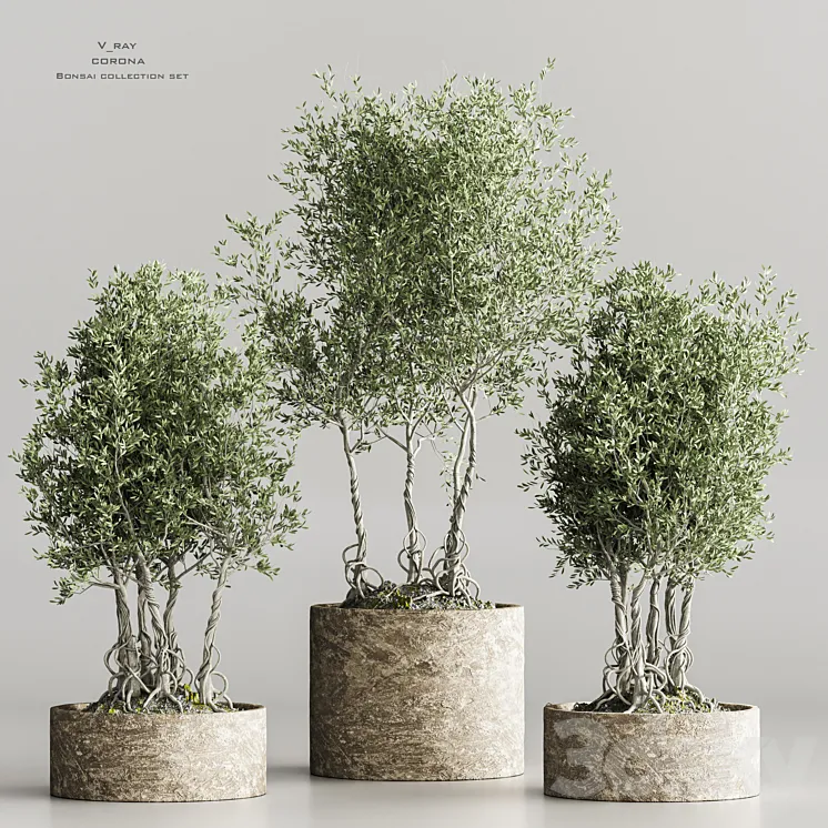indoor_plant collection set vol 71 3D Model Free