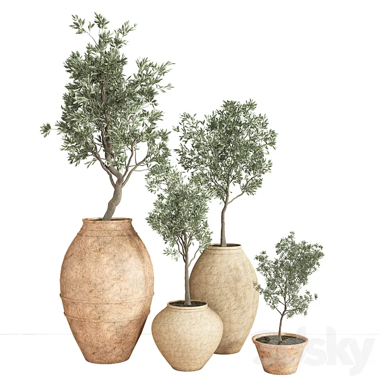 indoor_plant_set_28 3D Model Free