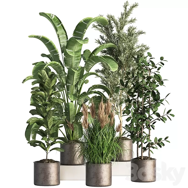 Indoor_Plant_Set_43 3D Model