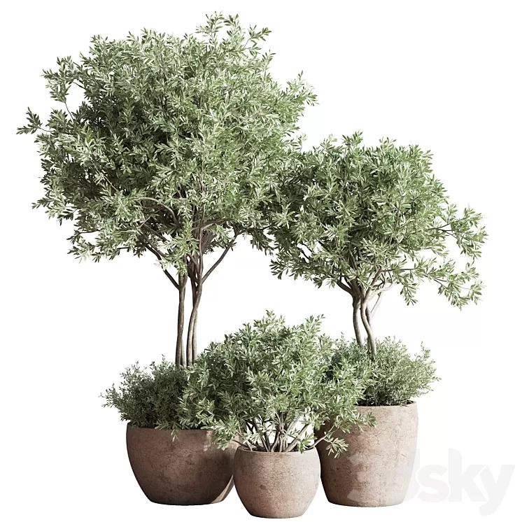 Indoor_Plant_Set_59 3D Model