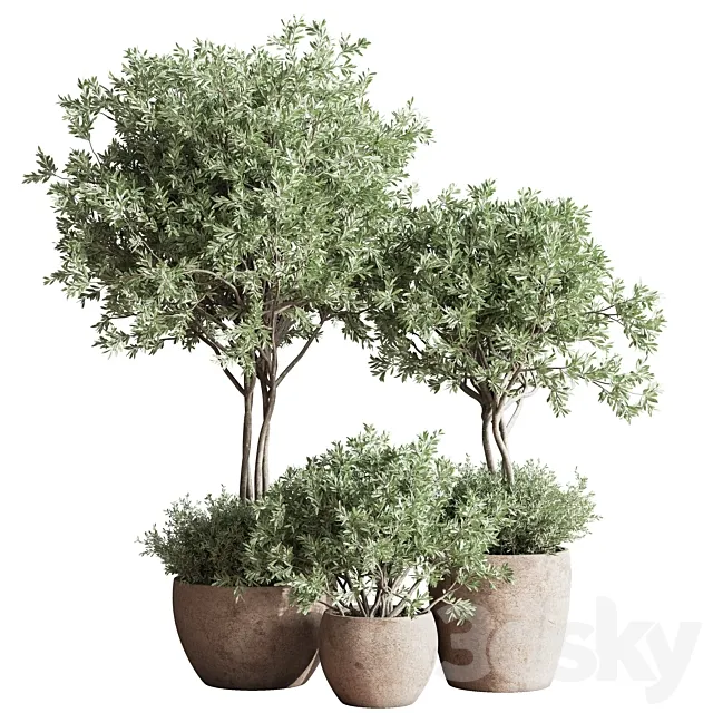 Indoor_Plant_Set_59 3DModel